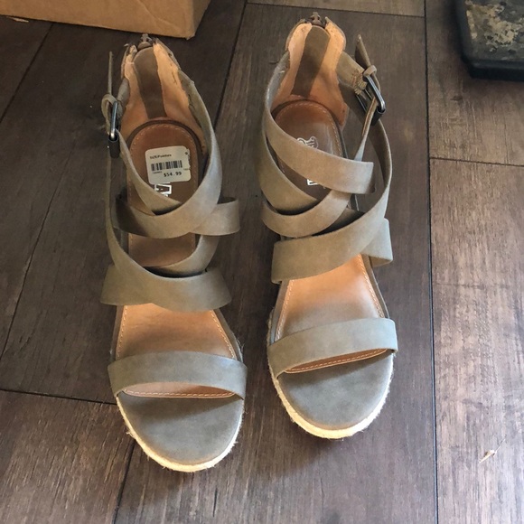 π»2 for 50π» Brash Wedges